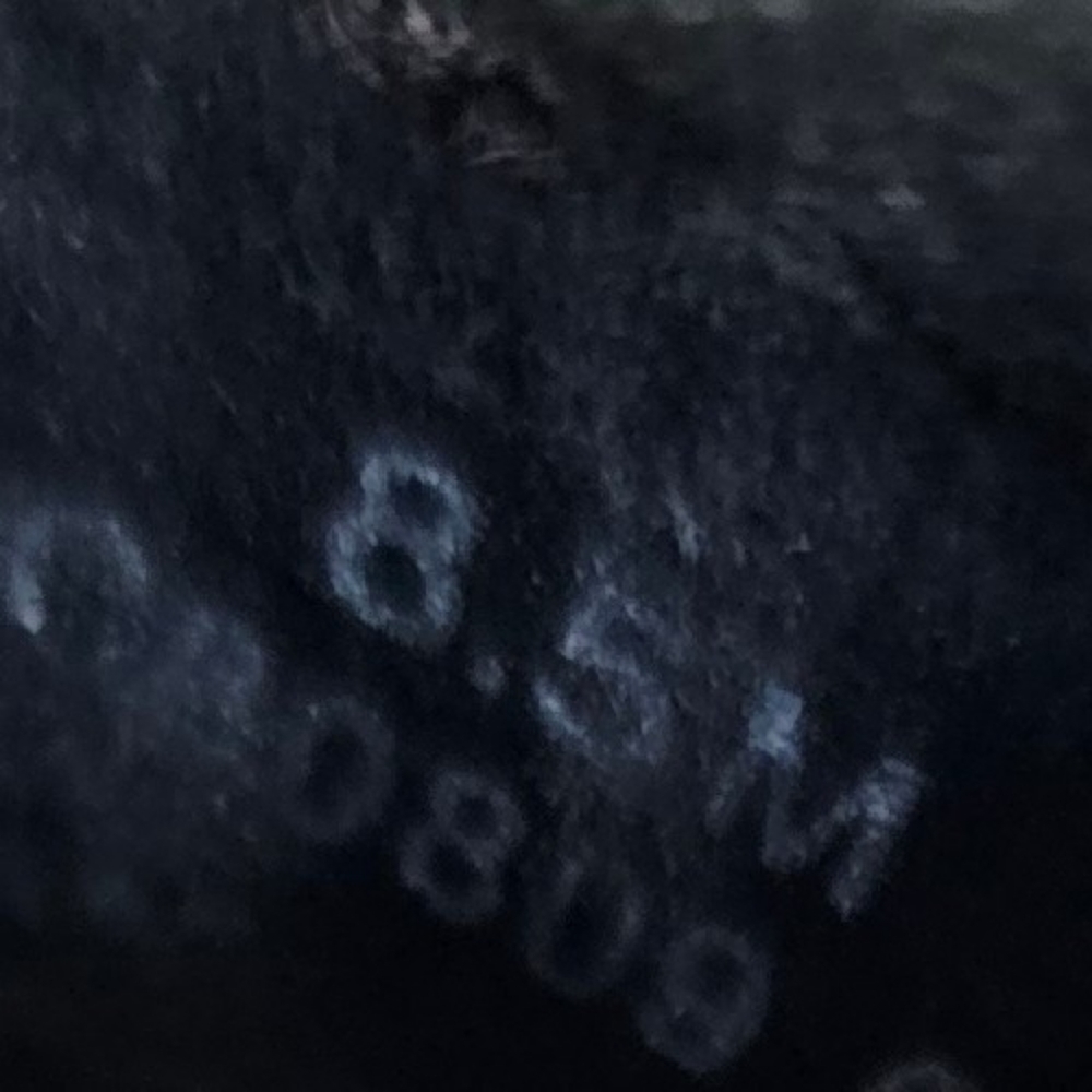 B.O.C Clogs Nib Multicolored 8.5 Reduced - image 8